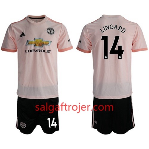 Manchester United Fodboldtrøjer Lingard 14 Børn Udebanesæt 2018/19 Kort ærmer Manchester United Fodboldtrøjer Lingard 14 Børn Udebanesæt 2018/19 Kort ærmer